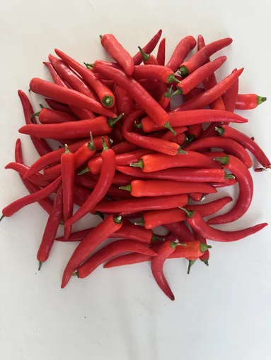 [Translate to Deutsch:] Rifa Chilis for the best chili sauces
